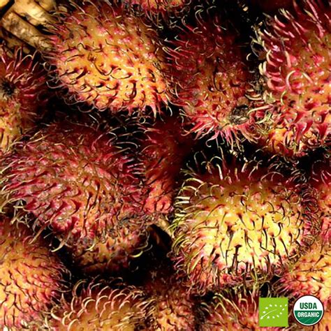 Amazing Foods | Organic Rambutan