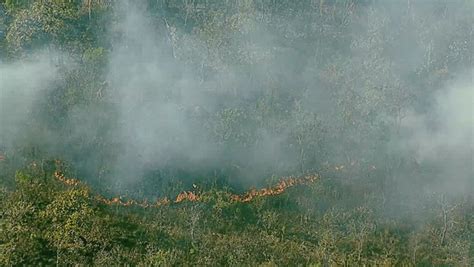 Incêndio Já Destruiu 130 Hectares Do Parque Nacional De Brasília