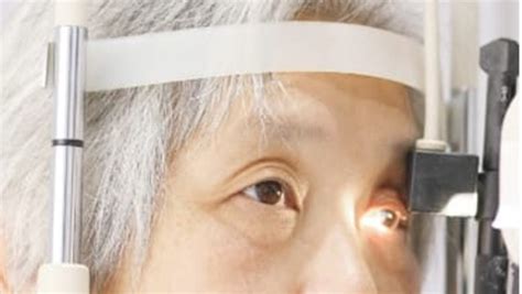 What Is The Cause Of Pterygium Ratchasima Hospital Tel