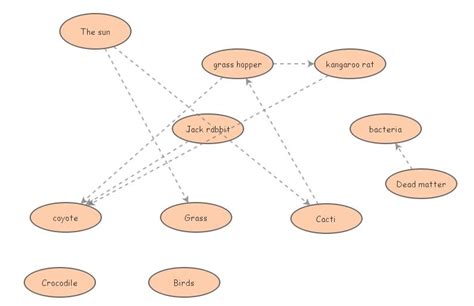 Clone Of Taiga Food Web Insight Maker