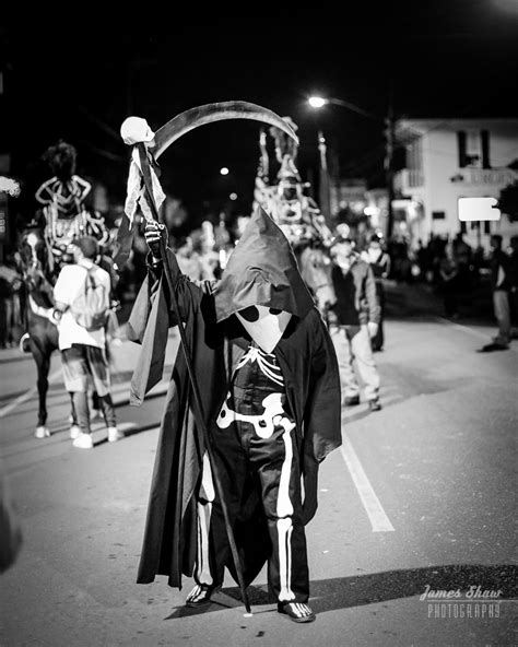 Elephant In Tiger Skin The Skeleton Krewe Marches Le Krewe Of Detat