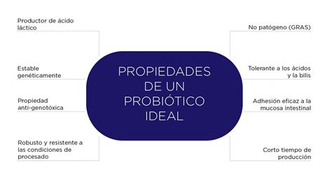 Probióticos qué son y qué tipos hay MARNYS