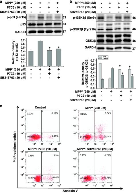 Gsk3β Inhibitor Possesses The Analogous Cytoprotective Effects Compared