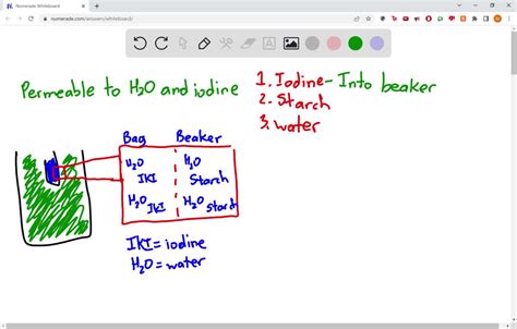 Solved Part Diffusion Across A Non Living Membrane Use The