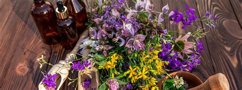 Il Giardino Delle Semplici Erbe Selvatiche E Officinali Come