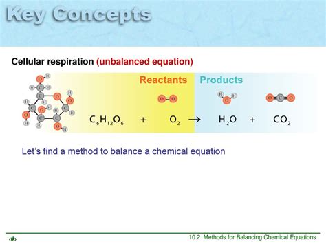 Chemical Equation For Cellular Respiration