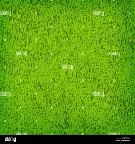 Green Grass Texture Vector Background Eps 10 Stock Vector Image And Art Alamy