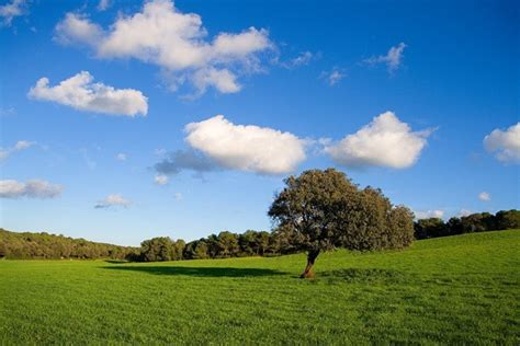 Día Internacional del Aire Limpio por un Cielo Azul El Tiempo