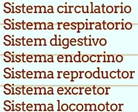 Solved Relaci N Que Tiene El Sitema Nervioso Con Los Siguientes