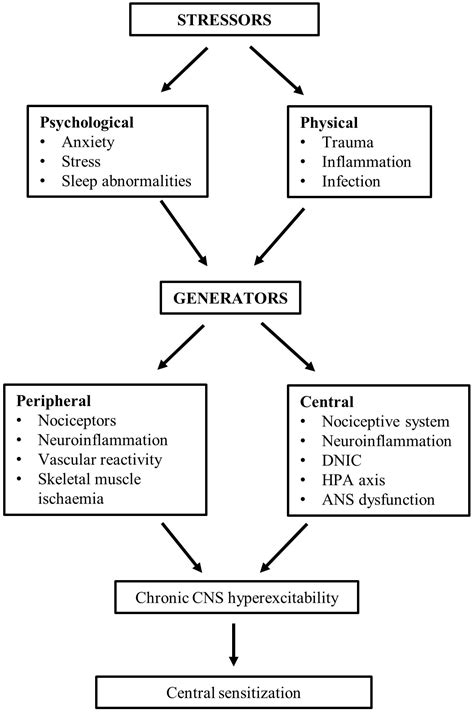 Identification Of The Involvement Of Potassium Channels In Fibromyalgia