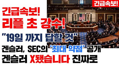 긴급속보 리플 초 강수 19일 까지 답할 것 겐슬러 Sec의 최대 약점 공개 겐슬러 X됐습니다 진짜로 리플코인전망