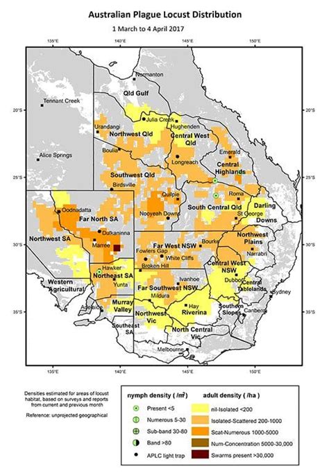 Locusts Likely To Lay Low This Season Grain Central