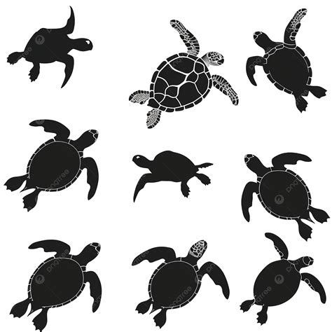 Colección De Siluetas De Tortugas Marinas Png Dibujos Tortuga Silueta Reptil Png Imagen Para