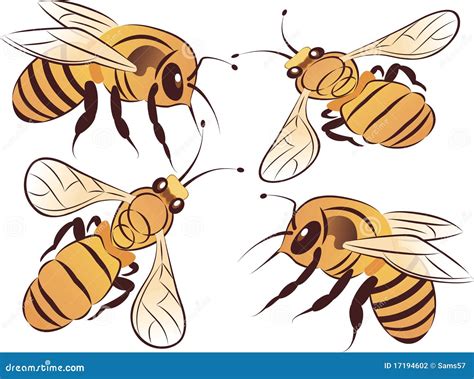 Conjunto De Abejas Ilustración Del Vector Ilustración De Color 17194602