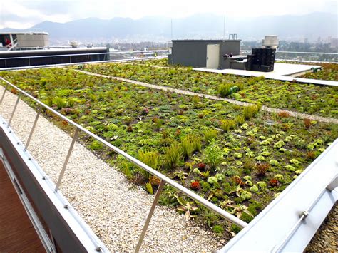 Sika Adds Index Bitumen Green Rooftop And Waterproofing Range To Its