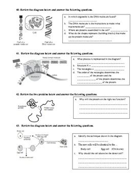 Living Environment Nys Regents Review Topic Genetics Tpt