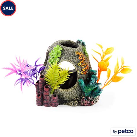 Imagitarium Sunken Orb Hideaway With Colorful Plants Petco