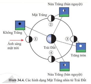 Lý thuyết Khoa học tự nhiên 6 Bài 34 Các hình dạng nhìn thấy của Mặt