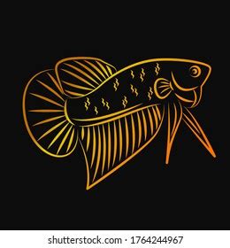 Betta Wild Line Art Minimalist Vector Stock Vector Royalty Free