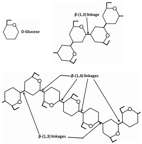 Schematic Structure Of Fragments Of And Glucans