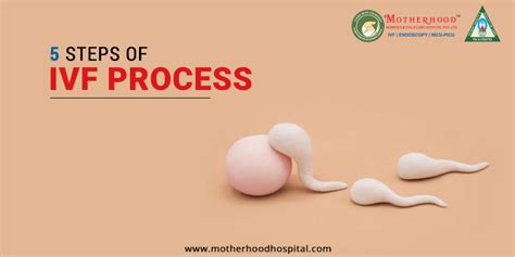 Step By Step Ivf Treatment Process Unleashed