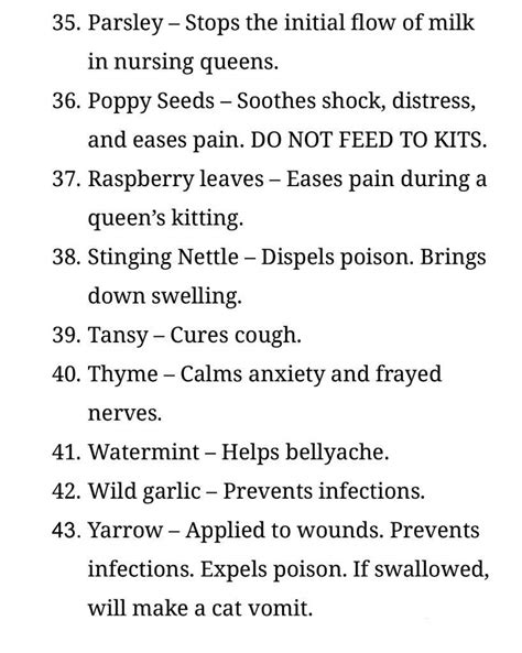 Warrior Cats Medicine Herbs List