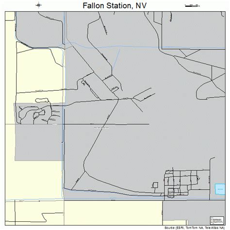 Fallon Station Nevada Street Map 3224500