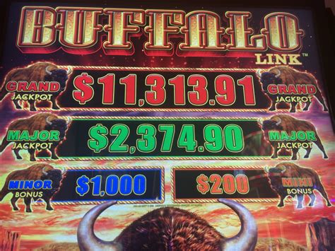 Buffalo Link discussed in Slots/Gambling at Wizard of Vegas