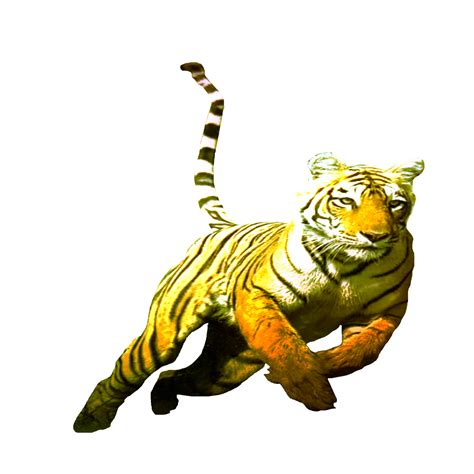 Icon Tiger King Of The Jungle 24560156 Png