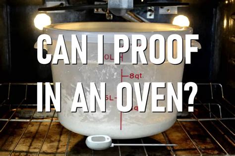 Can I Proof Dough in The Oven? Yes, Here’s How. – Knead Rise Bake