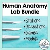 Anatomy And Physiology Histology Or Tissues Labs Microscope Lab Bundle