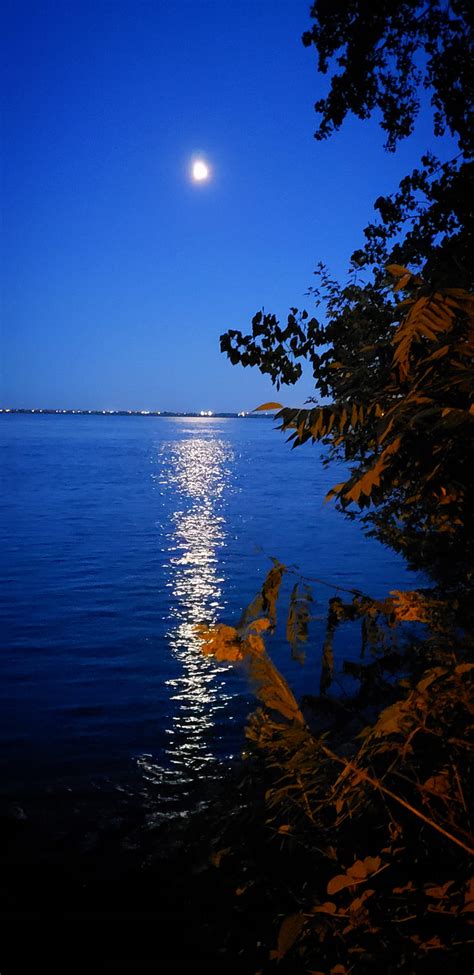 Moonligth Blue Moon River Hd Mobile Wallpaper Peakpx