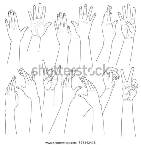 Monochrome Woman Hands Set Different Contoured Stock Vector Royalty