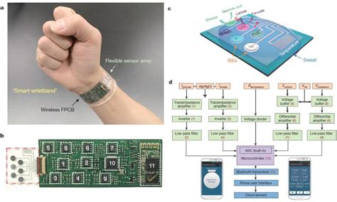 Wearable biosensors 3 - Mapping Ignorance