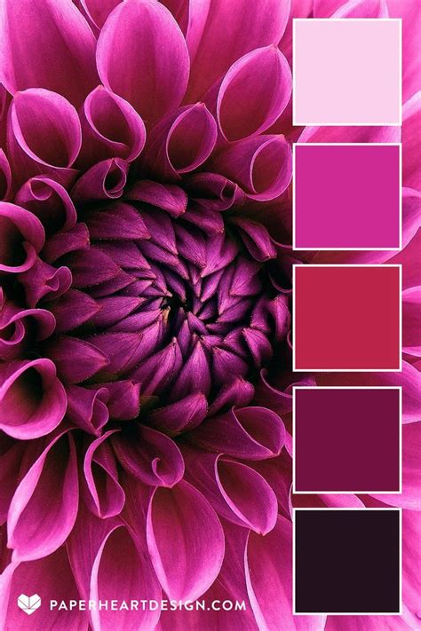 Color Palette Viva Magenta Pantone 2023 Color Of The Year Paper