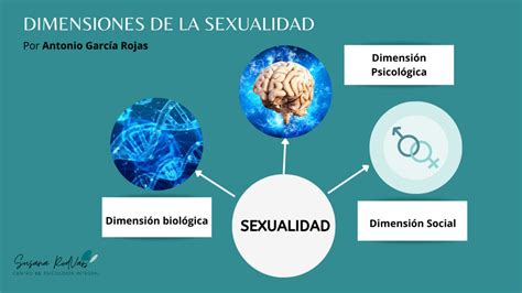 La Sexualidad Como Una Dimensión Más Del Ser Humano