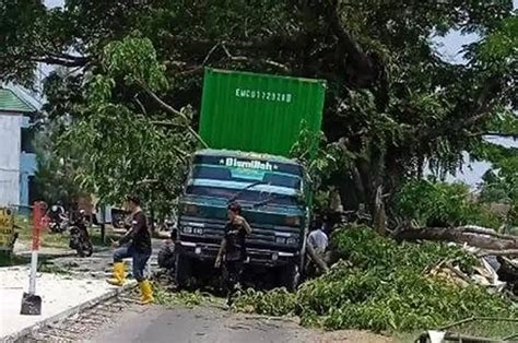 Pohon Tumbang Di Sragen Timpa Kontainer Satu Korban Patang Tulang