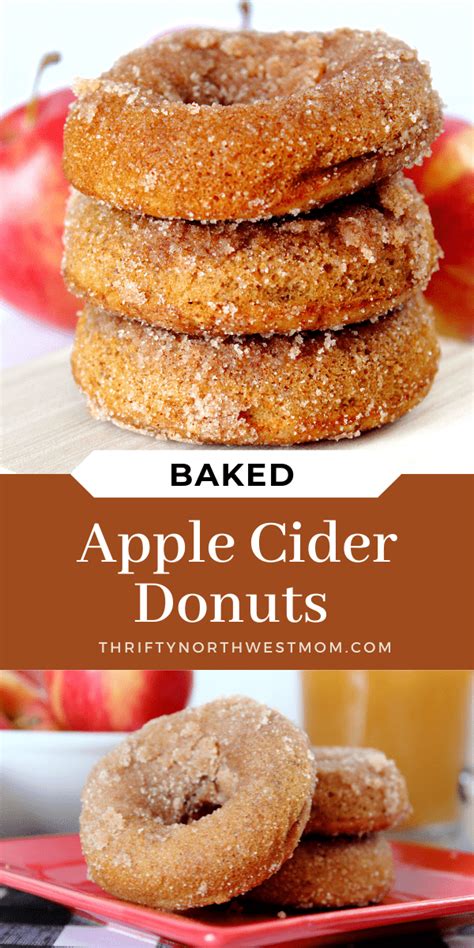 Baked Apple Cider Donuts Easy Fall Recipe Thrifty Nw Mom