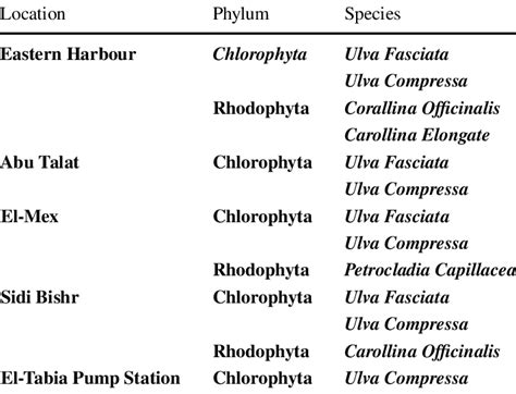 Classification Of Macroalgae Species At The Five Locations Download