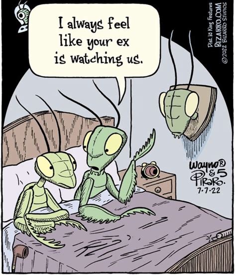 Praying Mantises Myconfinedspace