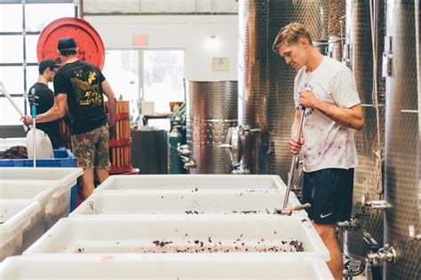 How Austin Winery Handles Harvest Time (And How You Can Help) - Tribeza