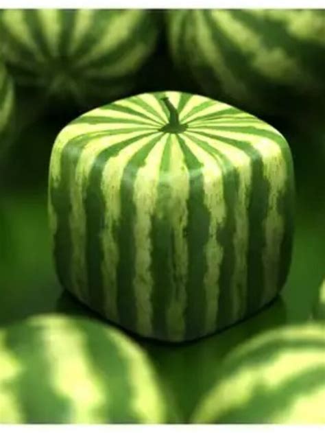 9 Most expensive fruits in the world - Ruposhi Bangla