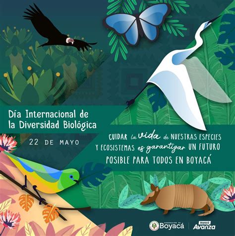 Boyacá celebra el Día Mundial de la Biodiversidad este 22 de mayo