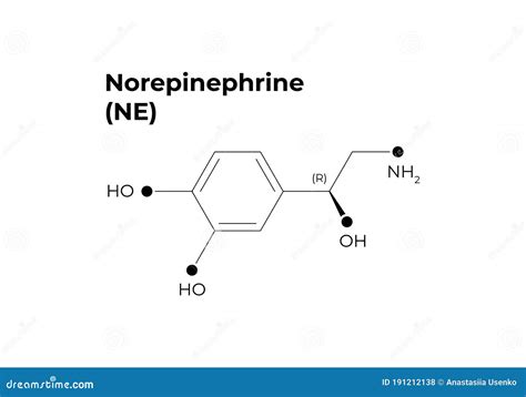 Norepinephrine Hormone Pathway Cartoon Vector | CartoonDealer.com ...