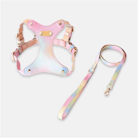 Aurora Vegan Leather Cat Harness And Leash Set Missymomo