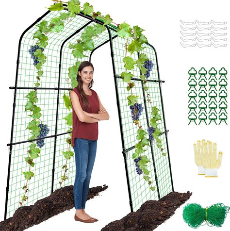 Treillis Pour Arche De Concombre De Jardin Pour Plantes Grimpantes