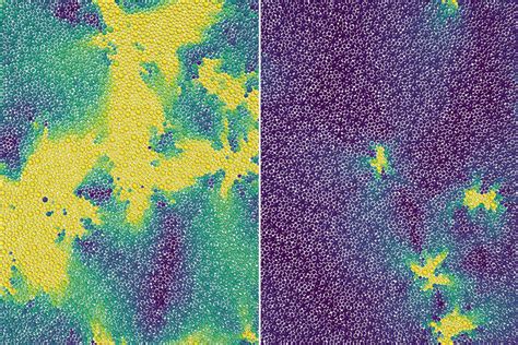 Identification of Concealed Transition Phase Between Liquid and Solid by Scientists - SciTechPost