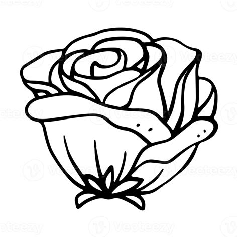 Rose Tattoo PNG Clipart PNG Mart