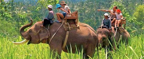 6 Days Assam Meghalaya Tour Package Best Cost