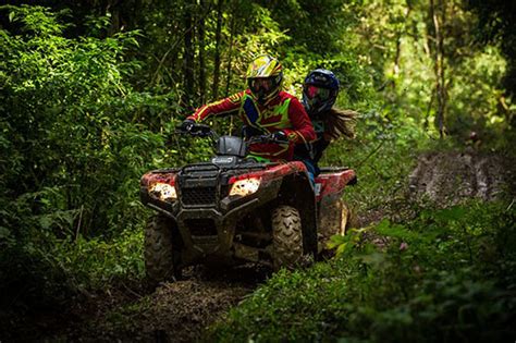 Qué necesitas para conducir un quad nuevo